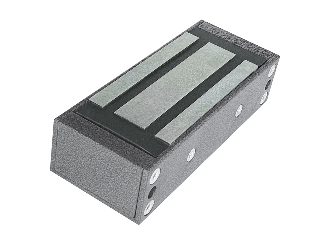 TS-ML300_silver antic (1)