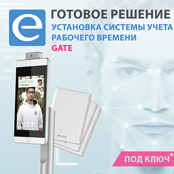 Установка системы учета рабочего времени GATE