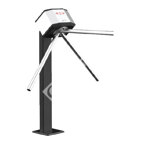 1-removebg-preview (21)