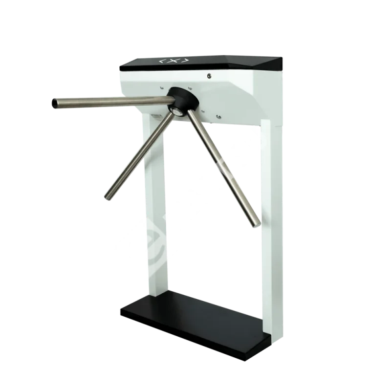 3v-model-r-glavnyj-vid