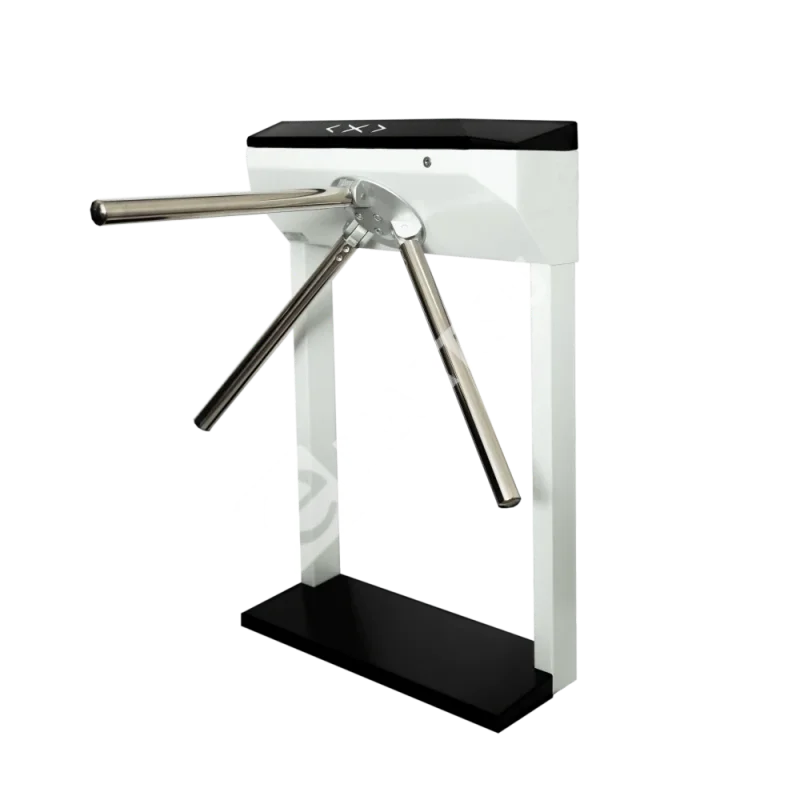 3v-model-ra-glavnyj-vid