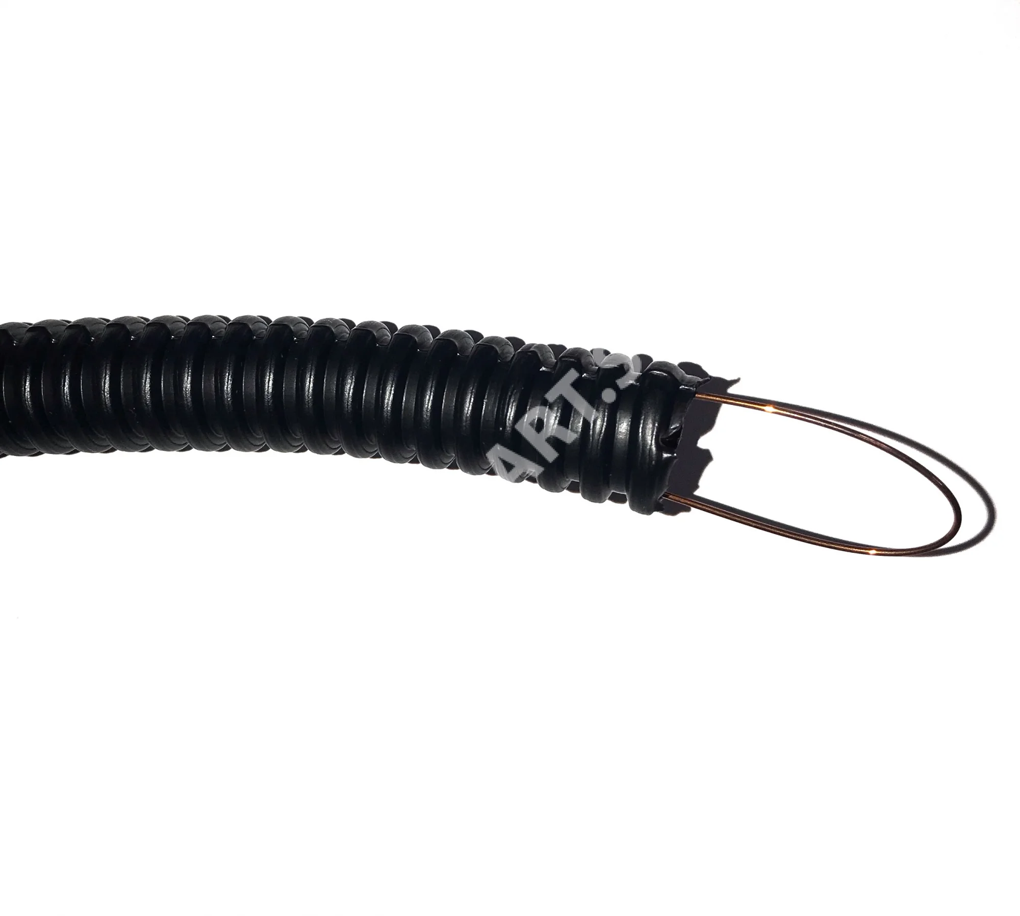 ysrc0z2rugy9kt0md2g7qg22wpmwykym